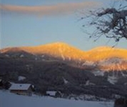 Alpenchalet-Gosau