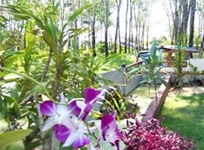 Airport Fly Resort