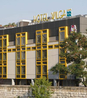 Фото Wilga