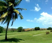 Palmas Plantation at Palmas del Mar