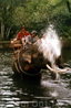 Прогулка на слонах по джунглям острова с водными процедурами на десерт