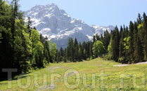 Альпийский луг и Цугшпитце