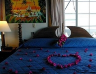 Blue Tang Inn Blue Tang Inn