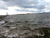 Финский залив мрачный и серый, а ветер такой сильный, что почти вырывает фотоаппарат из рук