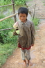 Камбоджийский мальчик подарил нам лотос (разумеется, за 1$)