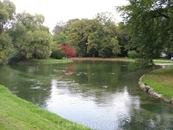 Englischer garten.