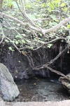 Купель Афродиты – это природный грот с каменной чашей – бассейном и небольшим водопадом.