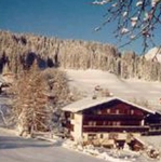 Alpbach Apartments