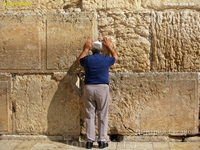 Дошедшая до нас Стена Плача — западная часть опорной стены, окружающей Храмовую гору. Общая длина Стены 488 м.

Стена была сооружена в 19 г. до н.э. ...