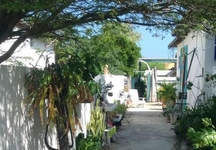 Aruba Bed & Beach
