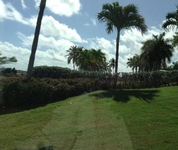 The Woods at Palmas del Mar