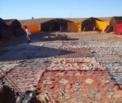 Bivouac Mhamid