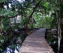 Фото Kosrae Village Ecolodge