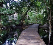 Kosrae Village Ecolodge