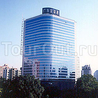 Фото Globe Link