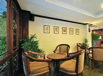 Lao Orchid