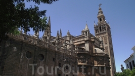 Sevilla - Catedral - Giralda