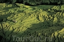 Рисовые поля к северу от Покхара
