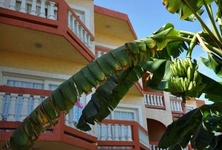 Banana Beach Resort