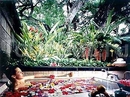 Фото Bali Hyatt