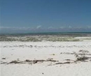 Фото Mbuyuni Beach Village Фото Mbuyuni Beach Village