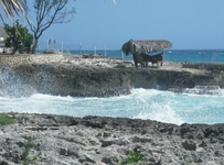 Jackies On The Reef