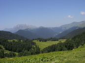 Альпийские луга.