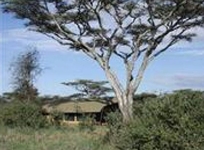 Lemala Ndutu Tented Camp Serengeti