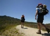 Фотография отеля Abel Tasman Marahau Lodge