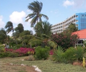 Hilton Curacao
