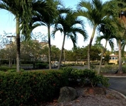 Beach Club Palmas Del Mar