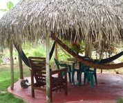 Negril Yoga Centre