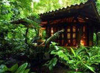 Playa Nicuesa Rainforest Lodge