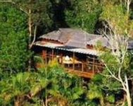 Amazing Wollumbin Palms Retreat Mount Warning