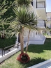 Фото Sunny Beach