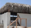 Фото Irish House