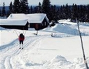 Фото Gronolen Fjellgard Hotel