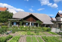 Kunstelj