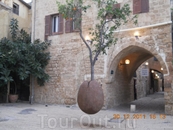 Висячее апельсиновое дерево в старом Яффо