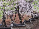 Фото Gallery Hotel Daejeon