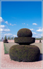 шахматные скульптуры из растений,пешка,JARDINS DU CHATEAU DU CHAMP DE BATAILLE