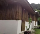 Фото Many Home