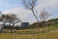 Вид на главный корпус (пресс-центр Саммита АТЭС) с Университетской набережной