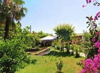 Alican Pension Cirali