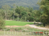 Природа Вьетнама- высокие горы поросшие лесом, пальмы, поля покрытые нежной зеленью рисовых всходов