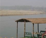 Jungle Wildlife Camp