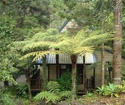 A Chalet In The Ferns A Chalet In The Ferns