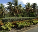 Фото The Woods at Palmas del Mar