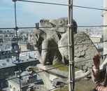 Сентябрь 2012 Paris. Химеры собора Парижской богоматери.