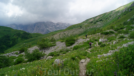 Впереди Армянский перевал и Фишт